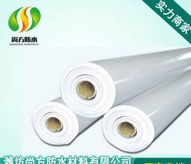 聚氯乙烯（PVC）防水卷材 建筑防水的可靠選擇