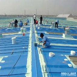1.5mm厚貼必定CLF交叉層壓膜高分子自粘防水卷材價格解析與產(chǎn)品優(yōu)勢概述